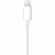 Наушники Apple EarPods с разъёмом Lightning (MWTY3) Наушники Apple EarPods с разъёмом Lightning (MWTY3)