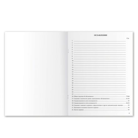 Классный журнал BRAUBERG 5-11 кл. (универсальный), А4 200х290 мм, твердая ламинированная обложка, офсет, 125686 Классный журнал BRAUBERG 5-11 кл. (универсальный), А4 200х290 мм, твердая ламинированная обложка, офсет, 125686