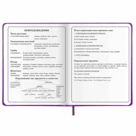 Дневник 1-4 класс 48 л., кожзам (твердая с поролоном), печать, аппликация, ЮНЛАНДИЯ, "Собачка", 106937