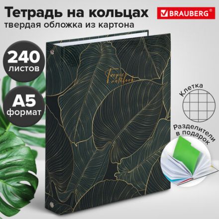 Тетрадь на кольцах А5 (175х215 мм), 240 листов, твердый картон, клетка, с разделителями, BRAUBERG, Листья, 404099 Тетрадь на кольцах А5 (175х215 мм), 240 листов, твердый картон, клетка, с разделителями, BRAUBERG, Листья, 404099