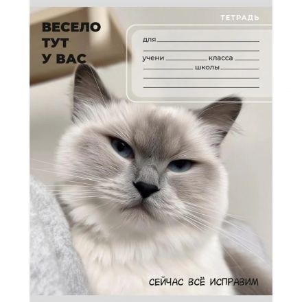 Тетрадь КЛЕТКА 24л. ЗАБАВНЫЕ КОТЫ - 6 цвет.мелов.обл.,ассорти 24-0896