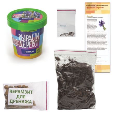 Набор для выращивания растений ВЫРАСТИ ДЕРЕВО! "Лаванда" (банка, грунт, семена), zk-030 Набор для выращивания растений ВЫРАСТИ ДЕРЕВО! "Лаванда" (банка, грунт, семена), zk-030
