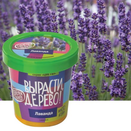Набор для выращивания растений ВЫРАСТИ ДЕРЕВО! "Лаванда" (банка, грунт, семена), zk-030 Набор для выращивания растений ВЫРАСТИ ДЕРЕВО! "Лаванда" (банка, грунт, семена), zk-030