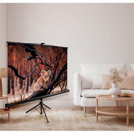 Экран Cactus TriExpert CS-PSTE-160x160-BK 1:1 напольный 160x160см Экран Cactus TriExpert CS-PSTE-160x160-BK 1:1 напольный 160x160см