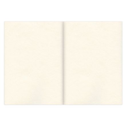 Скетчбук, слоновая кость 100 г/м2, 210х297 мм, 120 л., прошивка, BRAUBERG ART CLASSIC, 128960 Скетчбук, слоновая кость 100 г/м2, 210х297 мм, 120 л., прошивка, BRAUBERG ART CLASSIC, 128960