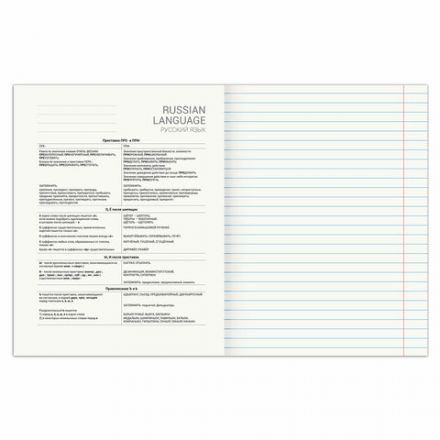 Тетрадь предметная "SPORT CLUB" 48 л., обложка картон, РУССКИЙ ЯЗЫК, линия, подсказ, BRAUBERG, 404803