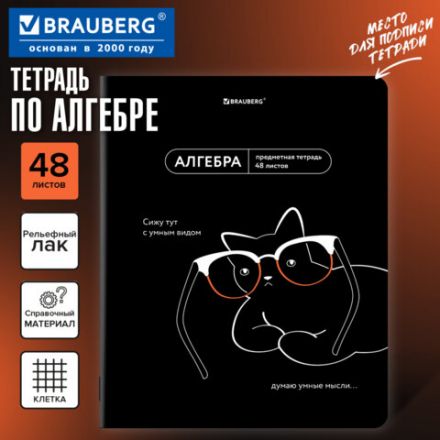 Тетрадь предметная МЕМЫ 48 л., TWIN-лак, АЛГЕБРА, клетка, подсказ, BRAUBERG, 405096
