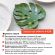 Глина вакуумированная для лепки Craft&Clay 1 кг голубая,GVL-1